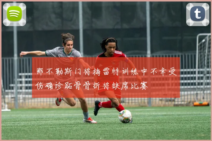 那不勒斯门将梅雷特训练中不幸受伤确诊跖骨骨折将缺席比赛